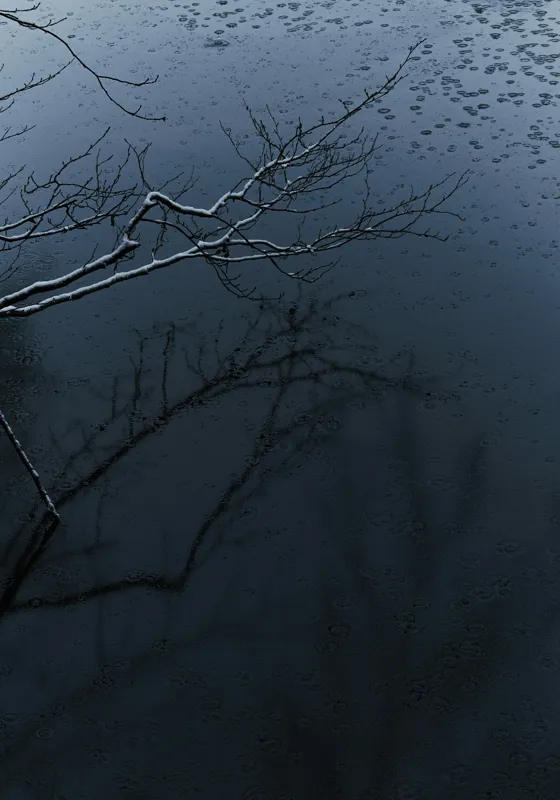 Tablou Canvas, "Reflecții și tăcere sub ploaie", Ramură, Reflexie, Apă, Ploaie, Umbre, Întuneric, Liniște, 70 x 100 cm – poza 2