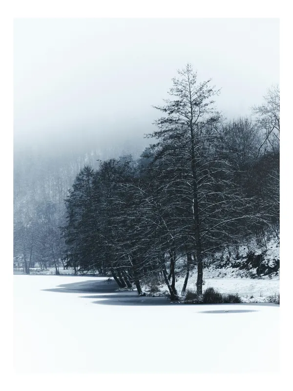 Tablou Canvas, "Copaci înghețați pe malul lacului", Iarnă, Pădure, Zăpadă, Liniște, Apă Înghețată, Copaci, Norii, Peisaj, Umbre, Frig, 50 x 50 cm