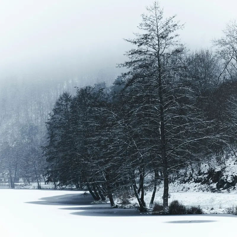 Tablou Canvas, "Copaci înghețați pe malul lacului", Iarnă, Pădure, Zăpadă, Liniște, Apă Înghețată, Copaci, Norii, Peisaj, Umbre, Frig, 100 x 100 cm – poza 2