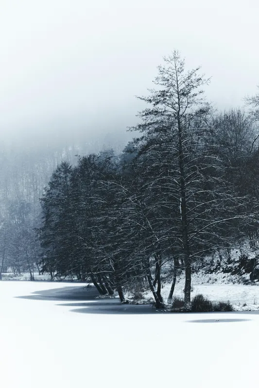 Tablou Canvas, "Copaci înghețați pe malul lacului", Iarnă, Pădure, Zăpadă, Liniște, Apă Înghețată, Copaci, Norii, Peisaj, Umbre, Frig, 100 x 150 cm – poza 2