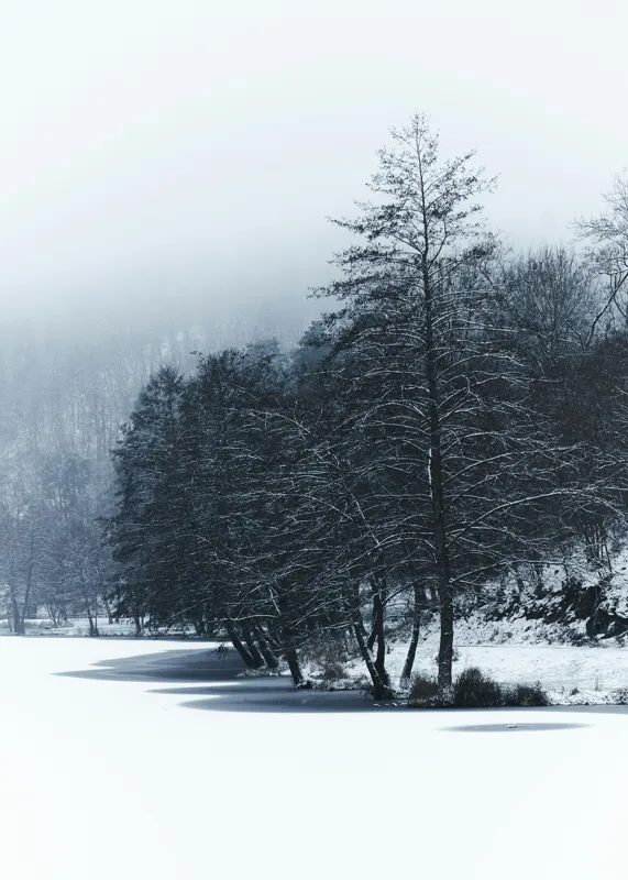 Tablou Canvas, "Copaci înghețați pe malul lacului", Iarnă, Pădure, Zăpadă, Liniște, Apă Înghețată, Copaci, Norii, Peisaj, Umbre, Frig, 50 x 70 cm – poza 2
