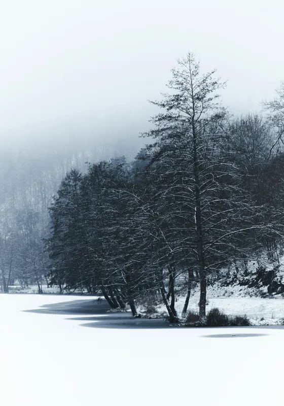 Tablou Canvas, "Copaci înghețați pe malul lacului", Iarnă, Pădure, Zăpadă, Liniște, Apă Înghețată, Copaci, Norii, Peisaj, Umbre, Frig, 70 x 100 cm – poza 2