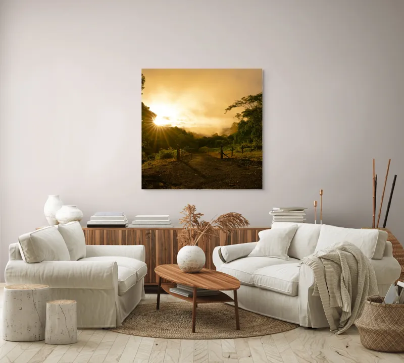 Tablou Canvas, "Răsărit de soare în pădurea senină", Soare, Apus, Pădure, Potecă, Lumină, Verdeață, Cer, Umbre, Natură, Împăcare, 100 x 100 cm – poza 3