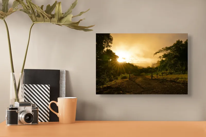 Tablou Canvas, "Răsărit de soare în pădurea senină", Soare, Apus, Pădure, Potecă, Lumină, Verdeață, Cer, Umbre, Natură, Împăcare, 39 x 26 cm – poza 3