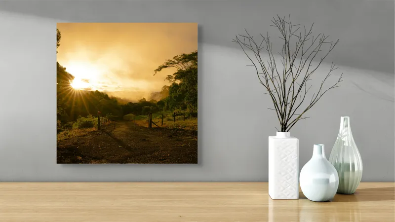 Tablou Canvas, "Răsărit de soare în pădurea senină", Soare, Apus, Pădure, Potecă, Lumină, Verdeață, Cer, Umbre, Natură, Împăcare, 50 x 50 cm – poza 3