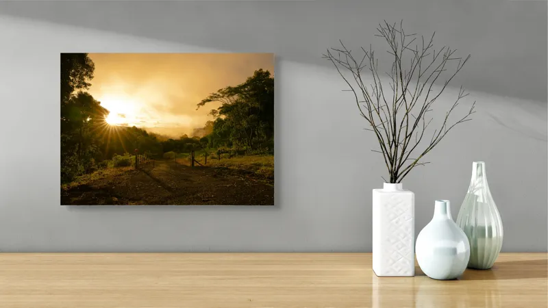 Tablou Canvas, "Răsărit de soare în pădurea senină", Soare, Apus, Pădure, Potecă, Lumină, Verdeață, Cer, Umbre, Natură, Împăcare, 54 x 39 cm – poza 3