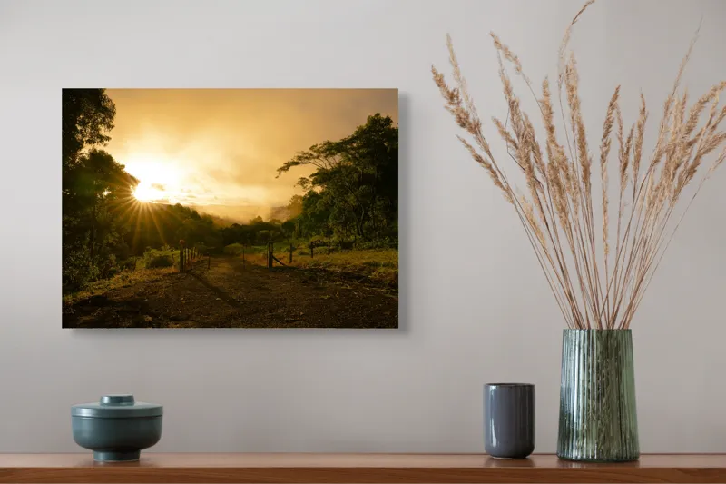 Tablou Canvas, "Răsărit de soare în pădurea senină", Soare, Apus, Pădure, Potecă, Lumină, Verdeață, Cer, Umbre, Natură, Împăcare, 54 x 39 cm – poza 4