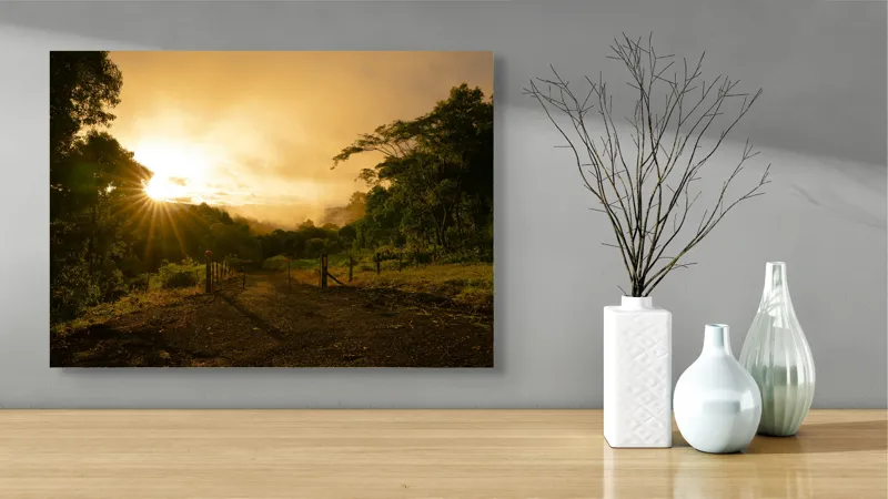 Tablou Canvas, "Răsărit de soare în pădurea senină", Soare, Apus, Pădure, Potecă, Lumină, Verdeață, Cer, Umbre, Natură, Împăcare, 70 x 50 cm – poza 3