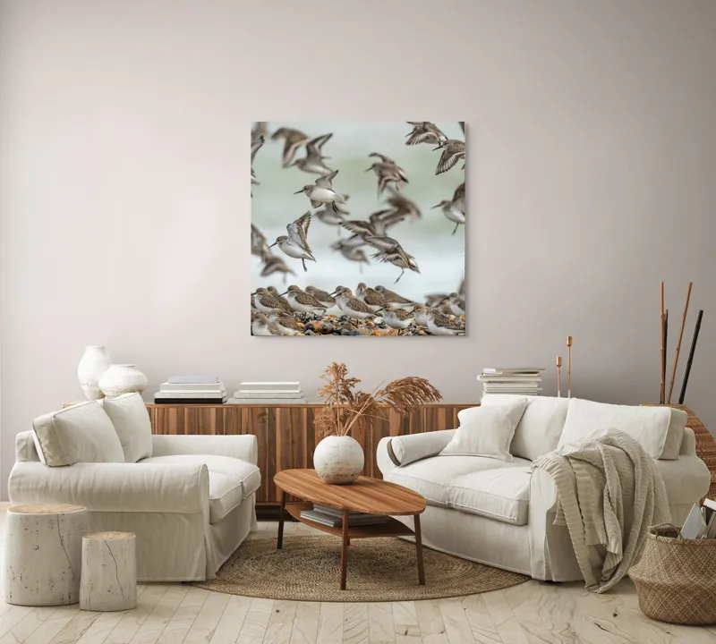 Tablou Canvas, "Dansul grațios al păsărilor pe coastă", Păsări, Zbor, Cer, Cuib, Natură, Aripi, Libertate, Peisaj, Agitație, Grup., 100 x 100 cm – poza 3