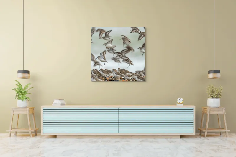Tablou Canvas, "Dansul grațios al păsărilor pe coastă", Păsări, Zbor, Cer, Cuib, Natură, Aripi, Libertate, Peisaj, Agitație, Grup., 100 x 100 cm – poza 5