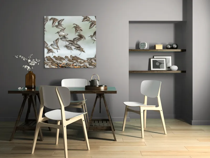 Tablou Canvas, "Dansul grațios al păsărilor pe coastă", Păsări, Zbor, Cer, Cuib, Natură, Aripi, Libertate, Peisaj, Agitație, Grup., 100 x 100 cm – poza 6