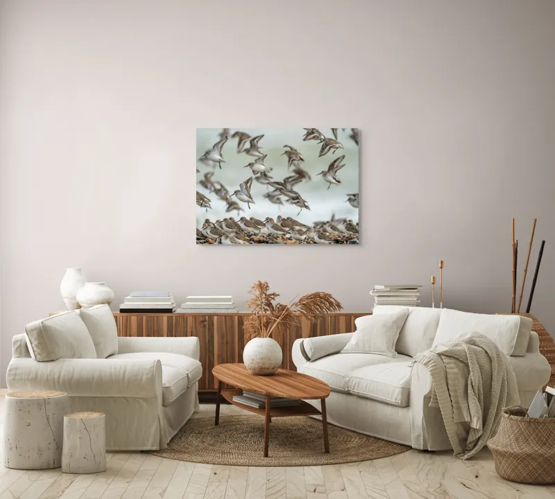 Tablou Canvas, "Dansul grațios al păsărilor pe coastă", Păsări, Zbor, Cer, Cuib, Natură, Aripi, Libertate, Peisaj, Agitație, Grup., 100 x 70 cm – poza 3