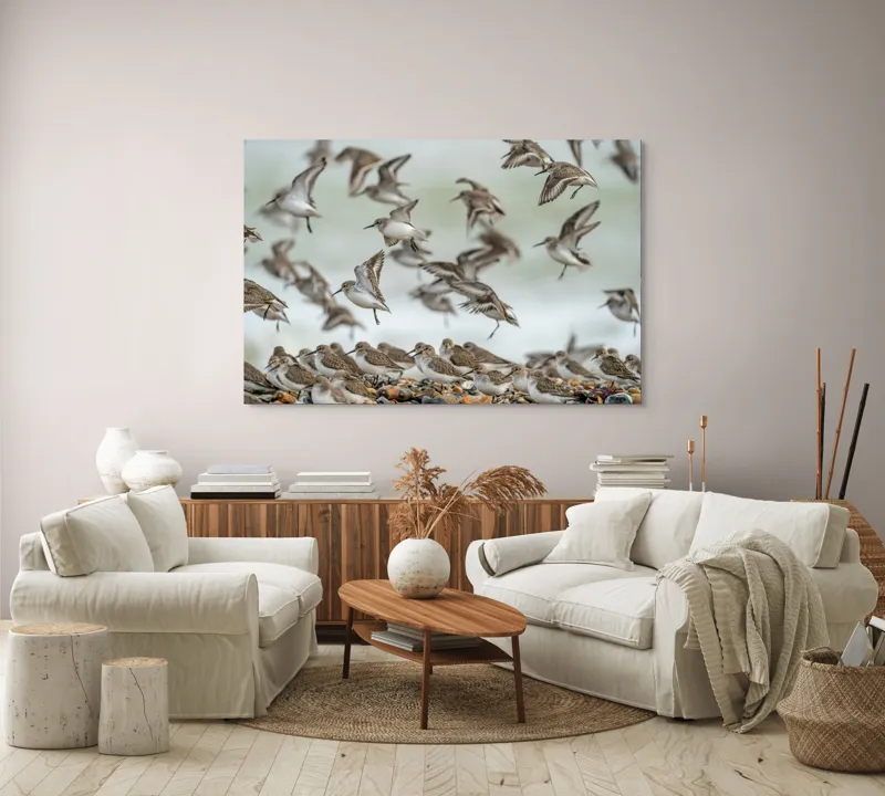 Tablou Canvas, "Dansul grațios al păsărilor pe coastă", Păsări, Zbor, Cer, Cuib, Natură, Aripi, Libertate, Peisaj, Agitație, Grup., 150 x 100 cm – poza 3