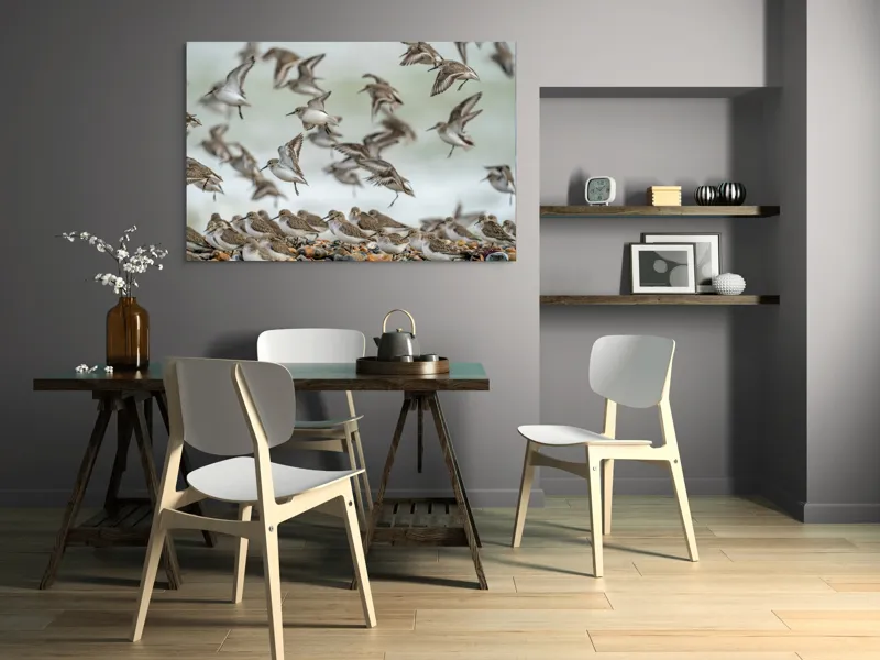 Tablou Canvas, "Dansul grațios al păsărilor pe coastă", Păsări, Zbor, Cer, Cuib, Natură, Aripi, Libertate, Peisaj, Agitație, Grup., 150 x 100 cm – poza 5