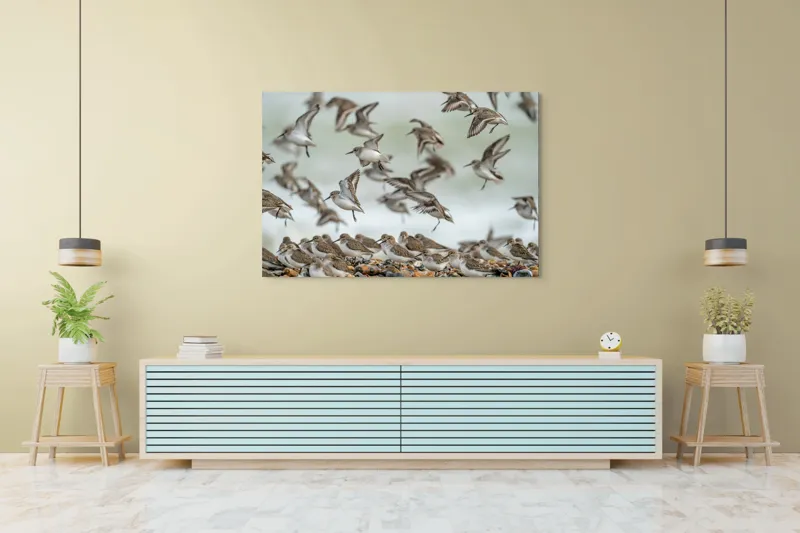 Tablou Canvas, "Dansul grațios al păsărilor pe coastă", Păsări, Zbor, Cer, Cuib, Natură, Aripi, Libertate, Peisaj, Agitație, Grup., 150 x 100 cm – poza 6