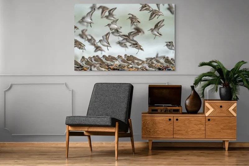 Tablou Canvas, "Dansul grațios al păsărilor pe coastă", Păsări, Zbor, Cer, Cuib, Natură, Aripi, Libertate, Peisaj, Agitație, Grup., 150 x 100 cm – poza 8