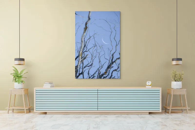 Tablou Canvas, "Crengile și luna din cer senin", Serenitate, Melancolie, Luciditate, Frumusețe, Eleganță, Visare, Armonie, Delicatețe, Contemplație, Liniște, 100 x 150 cm – poza 4