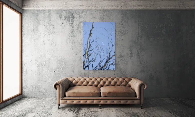 Tablou Canvas, "Crengile și luna din cer senin", Serenitate, Melancolie, Luciditate, Frumusețe, Eleganță, Visare, Armonie, Delicatețe, Contemplație, Liniște, 100 x 150 cm – poza 6