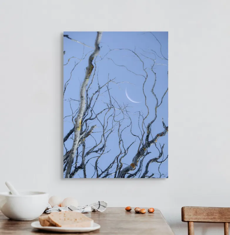 Tablou Canvas, "Crengile și luna din cer senin", Serenitate, Melancolie, Luciditate, Frumusețe, Eleganță, Visare, Armonie, Delicatețe, Contemplație, Liniște, 50 x 70 cm – poza 3
