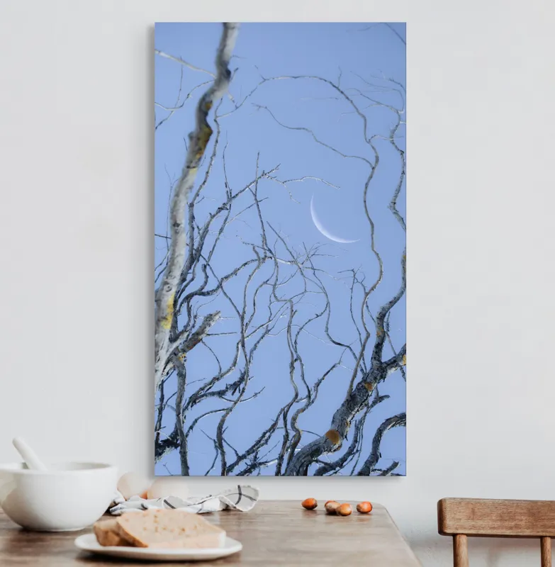 Tablou Canvas, "Crengile și luna din cer senin", Serenitate, Melancolie, Luciditate, Frumusețe, Eleganță, Visare, Armonie, Delicatețe, Contemplație, Liniște, 50 x 90 cm – poza 3