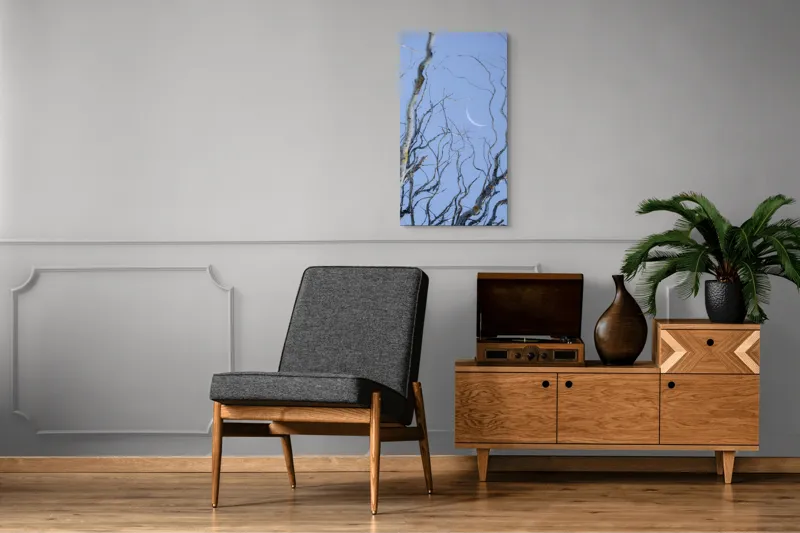 Tablou Canvas, "Crengile și luna din cer senin", Serenitate, Melancolie, Luciditate, Frumusețe, Eleganță, Visare, Armonie, Delicatețe, Contemplație, Liniște, 50 x 90 cm – poza 8