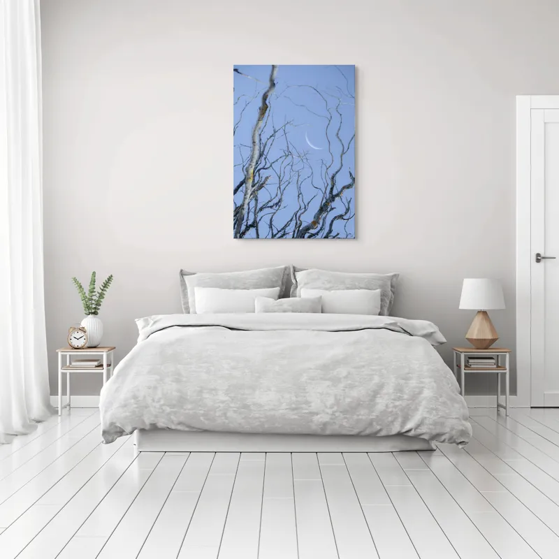 Tablou Canvas, "Crengile și luna din cer senin", Serenitate, Melancolie, Luciditate, Frumusețe, Eleganță, Visare, Armonie, Delicatețe, Contemplație, Liniște, 70 x 100 cm – poza 3