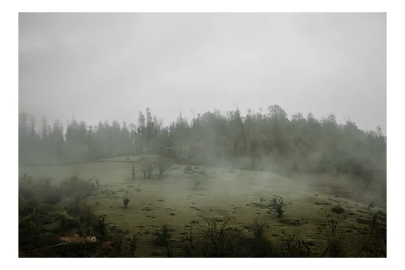 Tablou Canvas, "Câmpie învăluită în ceață dimineața", Ceață, Pajiște, Copaci, Tăcere, Melancolie, Natură, Răcoare, Verdeață, Mister, Liniște, 39 x 26 cm