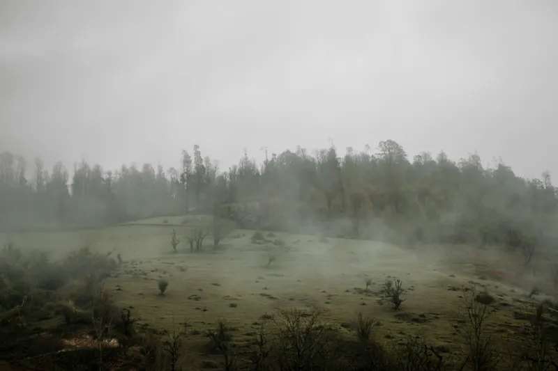 Tablou Canvas, "Câmpie învăluită în ceață dimineața", Ceață, Pajiște, Copaci, Tăcere, Melancolie, Natură, Răcoare, Verdeață, Mister, Liniște, 150 x 100 cm – poza 2