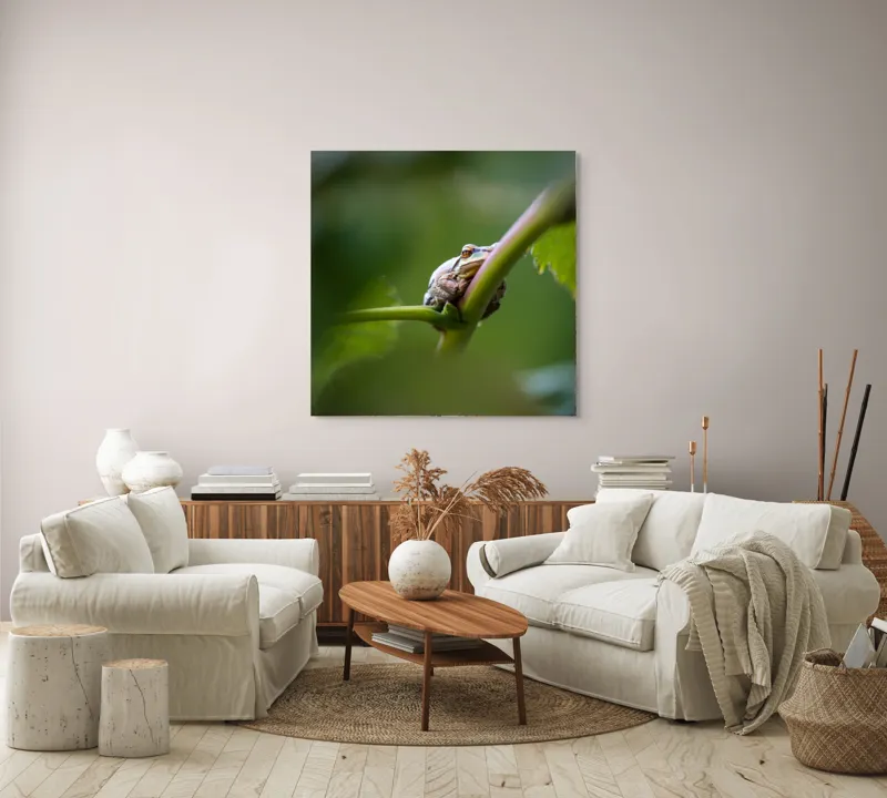 Tablou Canvas, "O broască în așteptarea ploii", Broască, Frunză, Tulpină, Verde, Privire, Natural, Detaliu, Relaxare, Camuflaj, Natură, 100 x 100 cm – poza 3