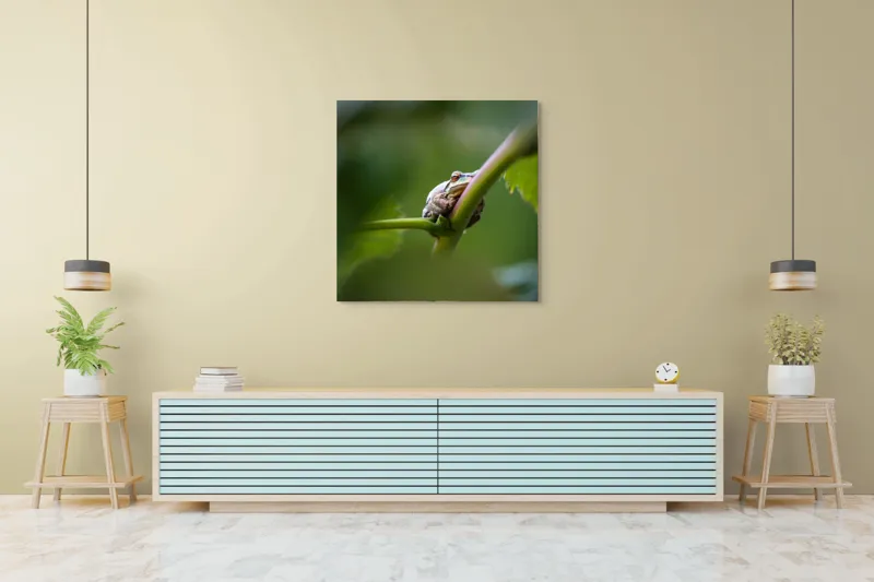 Tablou Canvas, "O broască în așteptarea ploii", Broască, Frunză, Tulpină, Verde, Privire, Natural, Detaliu, Relaxare, Camuflaj, Natură, 100 x 100 cm – poza 5