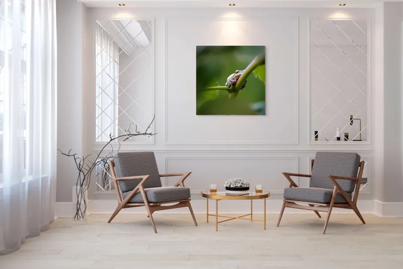 Tablou Canvas, "O broască în așteptarea ploii", Broască, Frunză, Tulpină, Verde, Privire, Natural, Detaliu, Relaxare, Camuflaj, Natură, 100 x 100 cm – poza 7