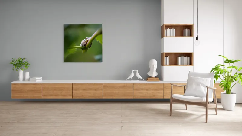 Tablou Canvas, "O broască în așteptarea ploii", Broască, Frunză, Tulpină, Verde, Privire, Natural, Detaliu, Relaxare, Camuflaj, Natură, 100 x 100 cm – poza 8