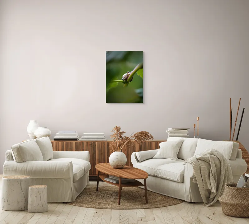 Tablou Canvas, "O broască în așteptarea ploii", Broască, Frunză, Tulpină, Verde, Privire, Natural, Detaliu, Relaxare, Camuflaj, Natură, 50 x 70 cm – poza 4
