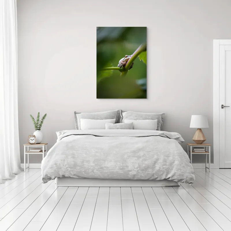 Tablou Canvas, "O broască în așteptarea ploii", Broască, Frunză, Tulpină, Verde, Privire, Natural, Detaliu, Relaxare, Camuflaj, Natură, 70 x 100 cm – poza 3
