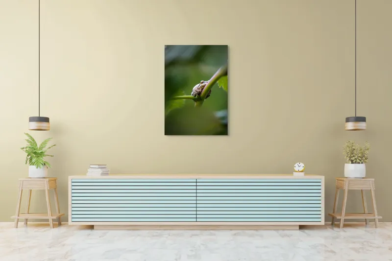 Tablou Canvas, "O broască în așteptarea ploii", Broască, Frunză, Tulpină, Verde, Privire, Natural, Detaliu, Relaxare, Camuflaj, Natură, 70 x 100 cm – poza 5