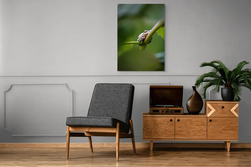 Tablou Canvas, "O broască în așteptarea ploii", Broască, Frunză, Tulpină, Verde, Privire, Natural, Detaliu, Relaxare, Camuflaj, Natură, 70 x 100 cm – poza 6