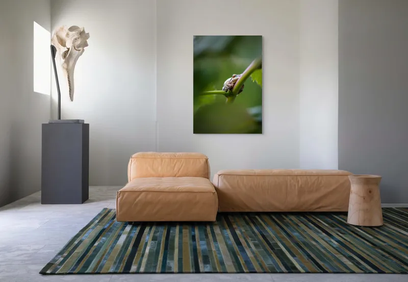 Tablou Canvas, "O broască în așteptarea ploii", Broască, Frunză, Tulpină, Verde, Privire, Natural, Detaliu, Relaxare, Camuflaj, Natură, 70 x 100 cm – poza 7