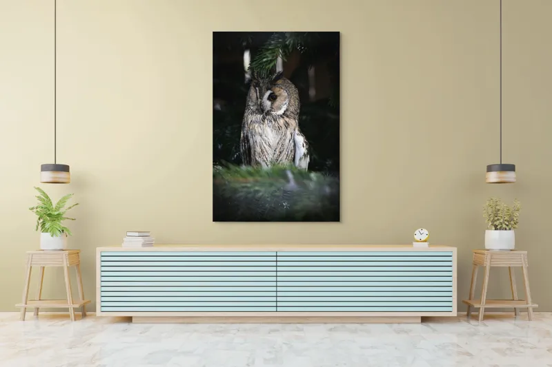Tablou Canvas, "Bufnița ascunsă în crengile de brad", Bufniță, Ramură, Noapte, Natură, Penaj, Copac, Cămuflaj, Privire., 100 x 150 cm – poza 4