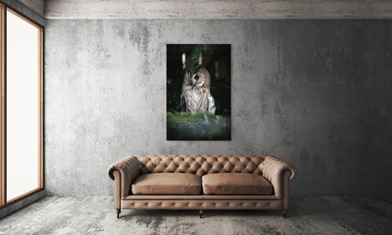 Tablou Canvas, "Bufnița ascunsă în crengile de brad", Bufniță, Ramură, Noapte, Natură, Penaj, Copac, Cămuflaj, Privire., 100 x 150 cm – poza 6