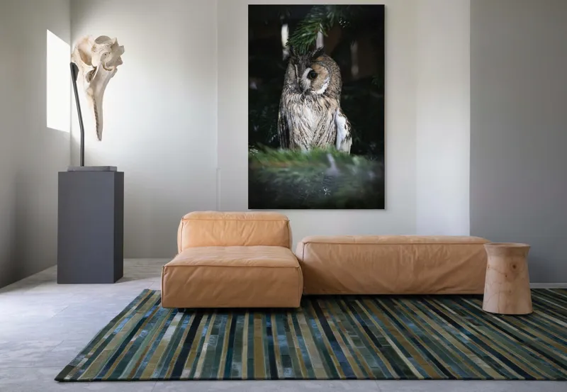 Tablou Canvas, "Bufnița ascunsă în crengile de brad", Bufniță, Ramură, Noapte, Natură, Penaj, Copac, Cămuflaj, Privire., 100 x 150 cm – poza 7