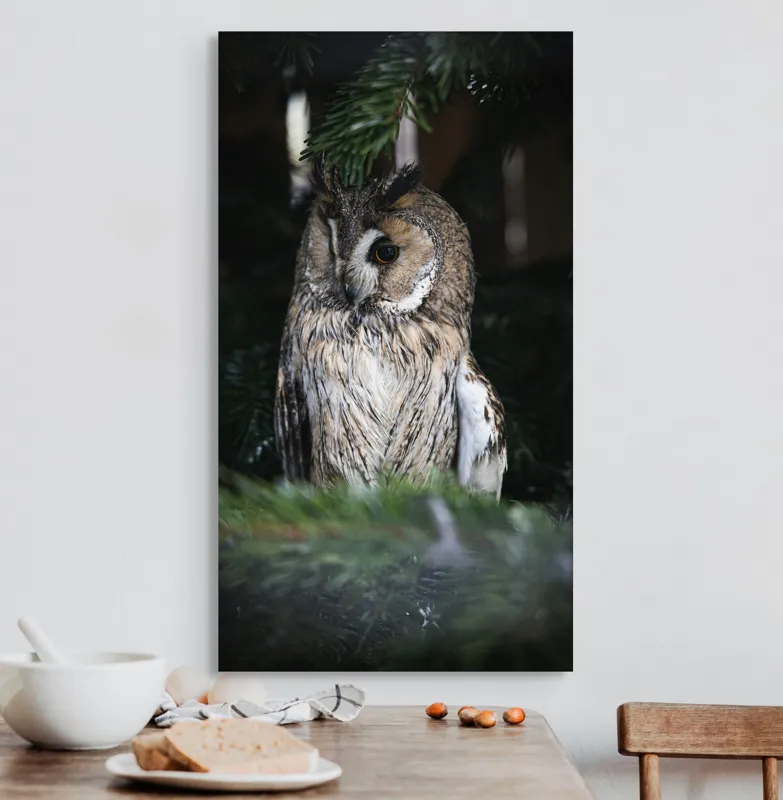 Tablou Canvas, "Bufnița ascunsă în crengile de brad", Bufniță, Ramură, Noapte, Natură, Penaj, Copac, Cămuflaj, Privire., 50 x 90 cm – poza 3