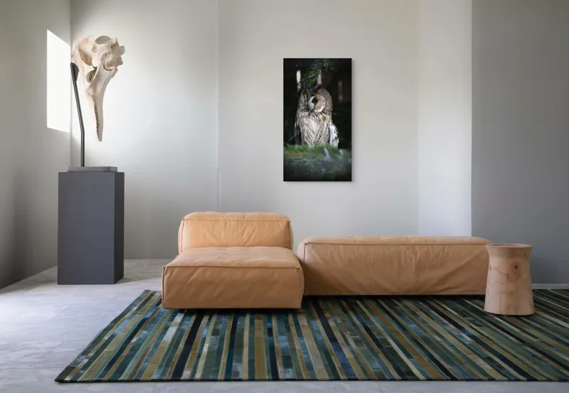 Tablou Canvas, "Bufnița ascunsă în crengile de brad", Bufniță, Ramură, Noapte, Natură, Penaj, Copac, Cămuflaj, Privire., 50 x 90 cm – poza 5