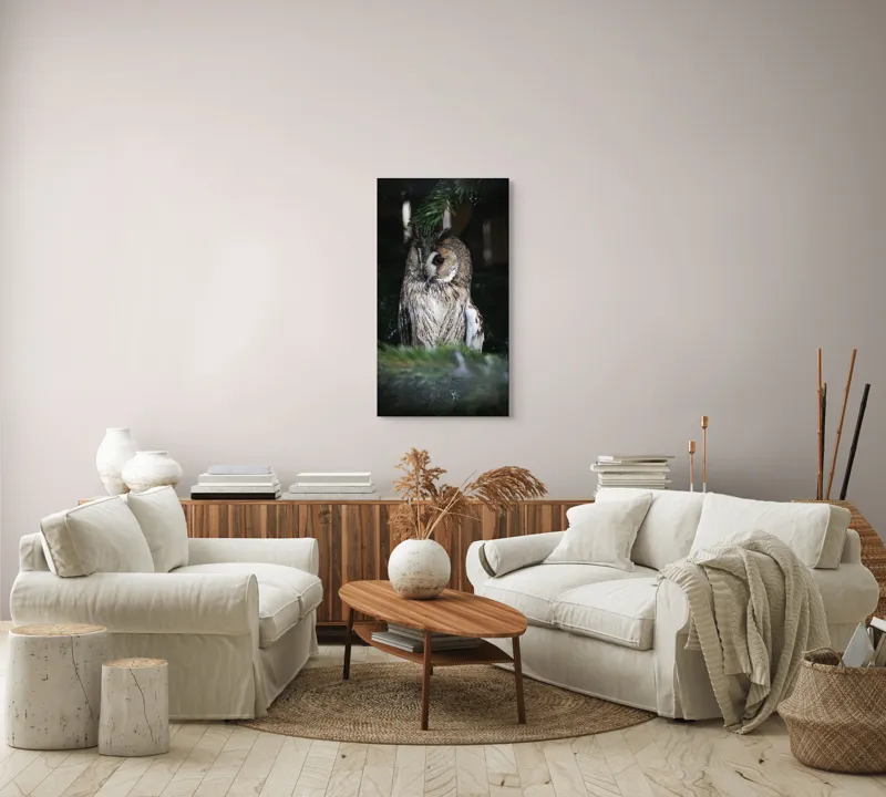 Tablou Canvas, "Bufnița ascunsă în crengile de brad", Bufniță, Ramură, Noapte, Natură, Penaj, Copac, Cămuflaj, Privire., 50 x 90 cm – poza 7