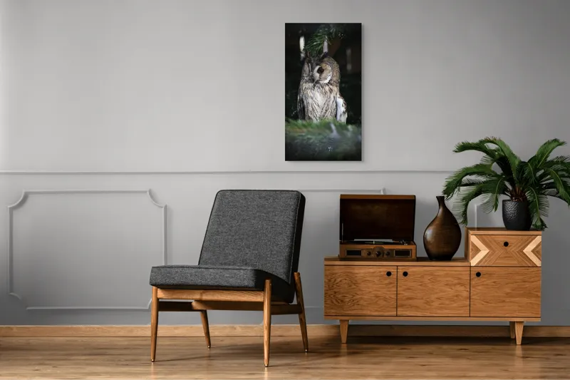 Tablou Canvas, "Bufnița ascunsă în crengile de brad", Bufniță, Ramură, Noapte, Natură, Penaj, Copac, Cămuflaj, Privire., 50 x 90 cm – poza 8
