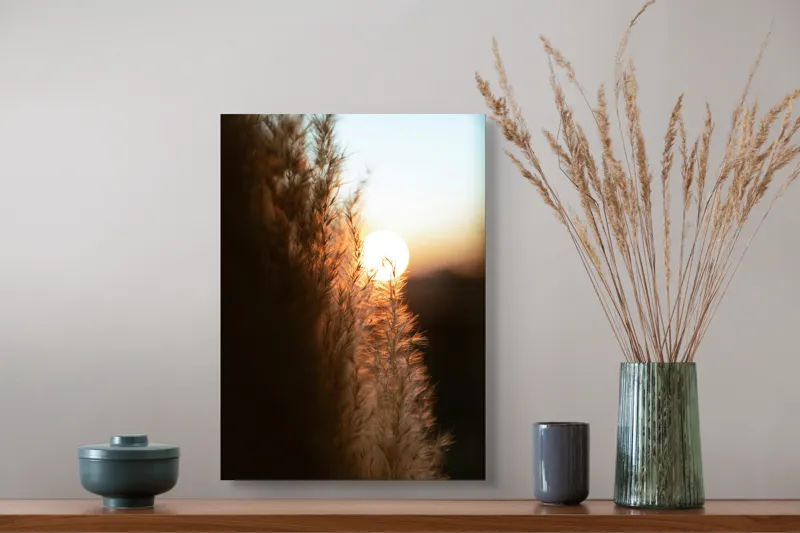 Tablou Canvas, "Splendoarea apusului printre ierburi aurii", Apus, Pampoane, Lumina, Blândețe, Natură, 39 x 54 cm – poza 3