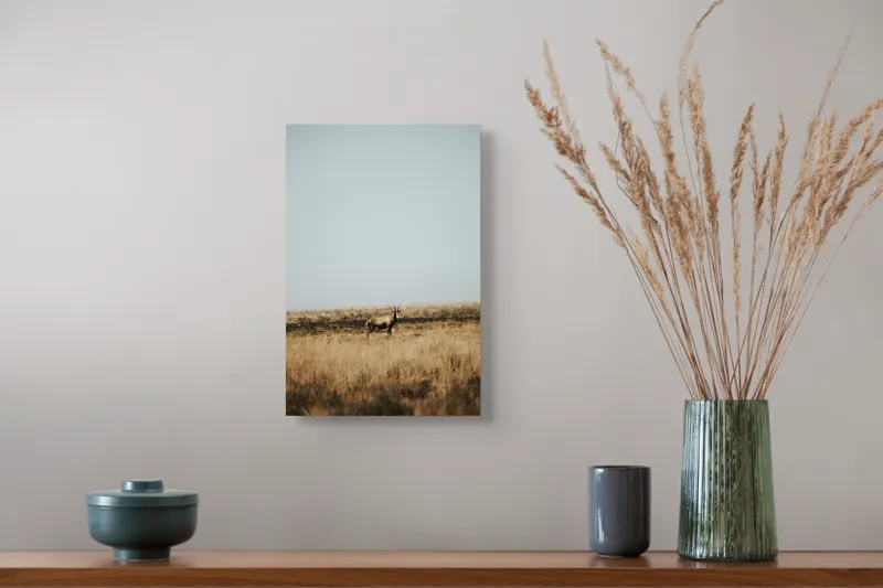 Tablou Canvas, "Cerbul singuratic în savana pustie", Cer, Cerb, Câmpie, Solitudine, Natură, Serenitate, Peisaj, Calm, Izolare, Pajiște, 26 x 39 cm – poza 5