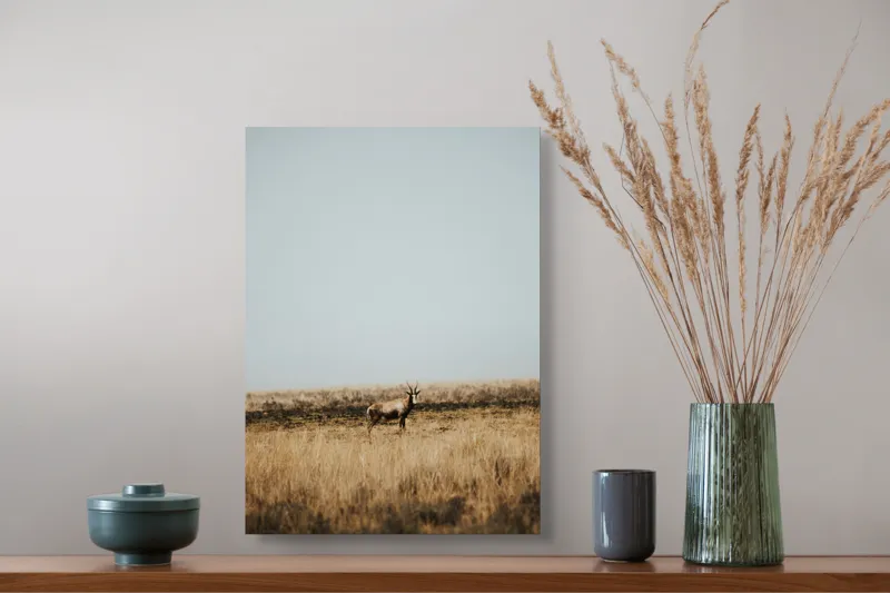 Tablou Canvas, "Cerbul singuratic în savana pustie", Cer, Cerb, Câmpie, Solitudine, Natură, Serenitate, Peisaj, Calm, Izolare, Pajiște, 39 x 54 cm – poza 3