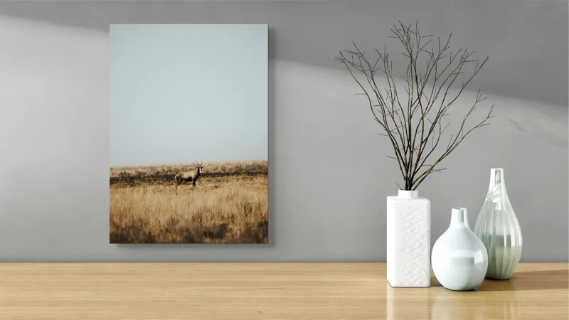 Tablou Canvas, "Cerbul singuratic în savana pustie", Cer, Cerb, Câmpie, Solitudine, Natură, Serenitate, Peisaj, Calm, Izolare, Pajiște, 39 x 54 cm – poza 4