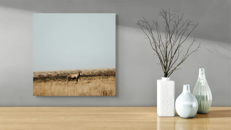 Tablou Canvas, "Cerbul singuratic în savana pustie", Cer, Cerb, Câmpie, Solitudine, Natură, Serenitate, Peisaj, Calm, Izolare, Pajiște, 50 x 50 cm – poza 3