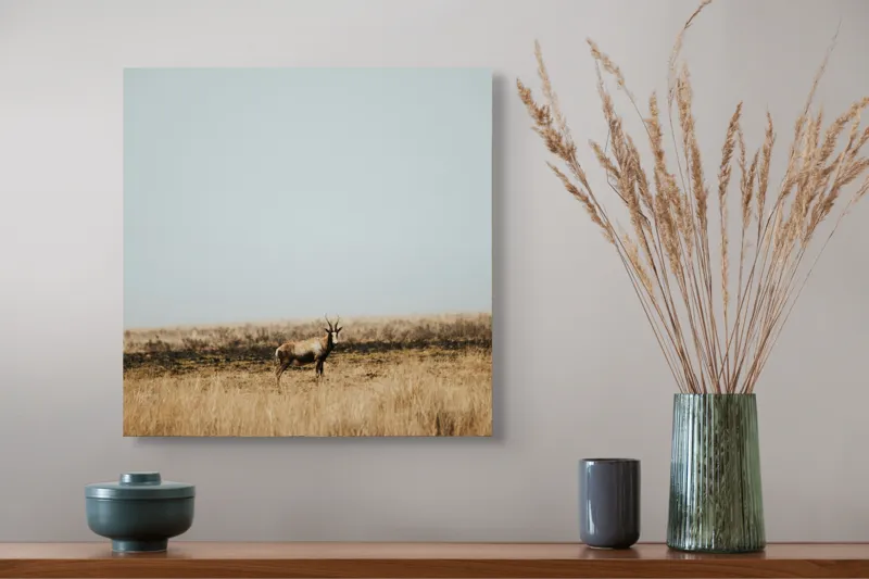 Tablou Canvas, "Cerbul singuratic în savana pustie", Cer, Cerb, Câmpie, Solitudine, Natură, Serenitate, Peisaj, Calm, Izolare, Pajiște, 50 x 50 cm – poza 4